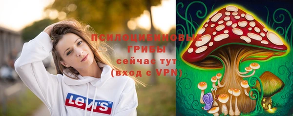 метадон Бородино